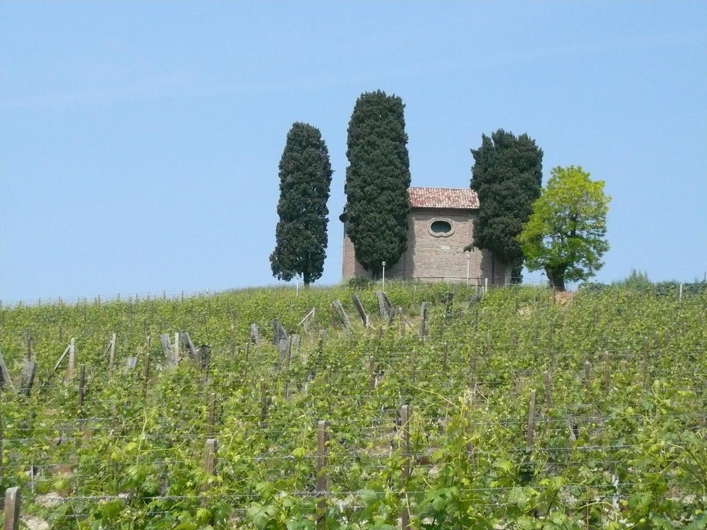 Agriturismo Relais "Il Bricco" Villa Nizza Monferrato Eksteriør billede