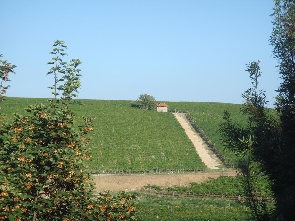 Agriturismo Relais "Il Bricco" Villa Nizza Monferrato Eksteriør billede